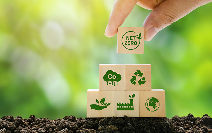 Sustainable Signage: Eco-friendly Materials and Practices